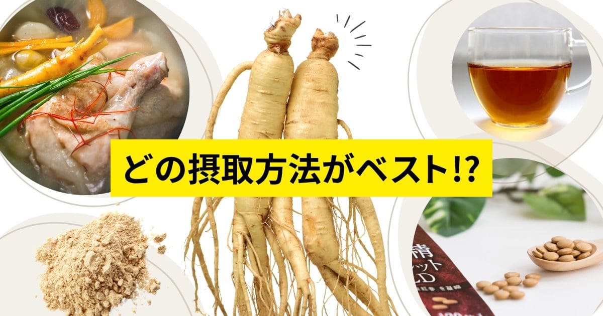 高麗人参はどの摂取方法がベスト！？