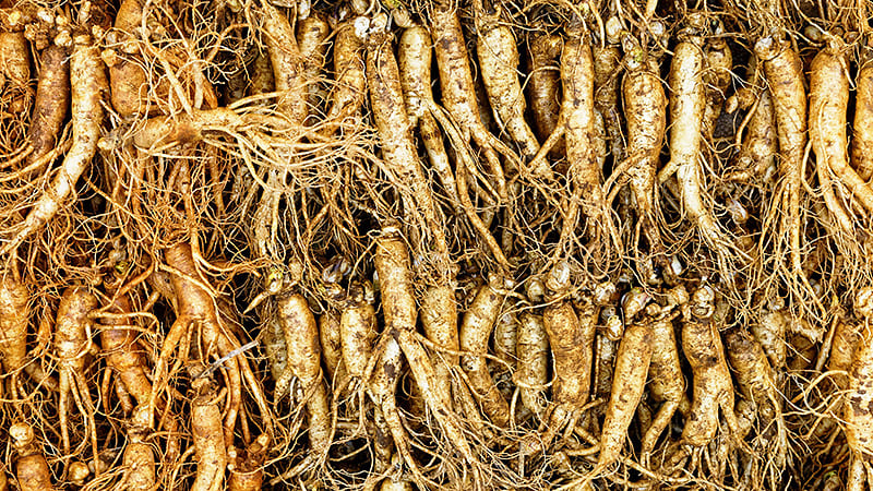韓国産の6年根・高麗人参はジンセノサイド（サポニン）が豊富！