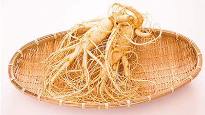 高麗人参と腸活