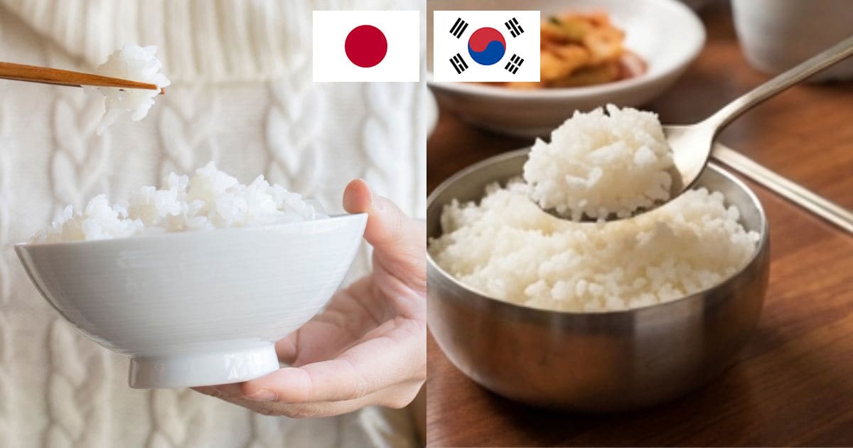 日本と韓国の食べ方比較