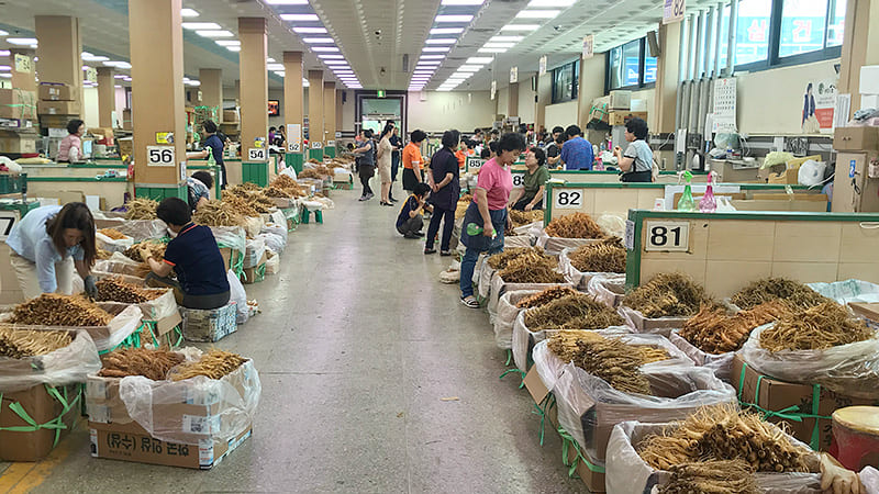 高麗人参3大産地|錦山(クムサン)