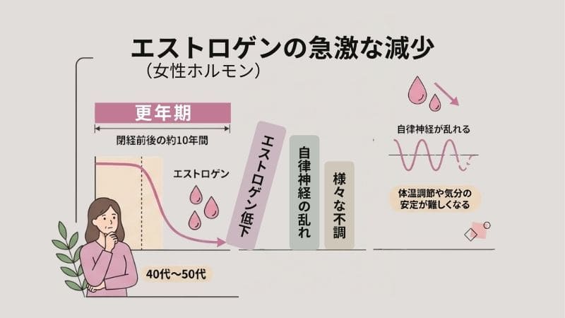 女性ホルモン(エストロゲン)の急激な減少