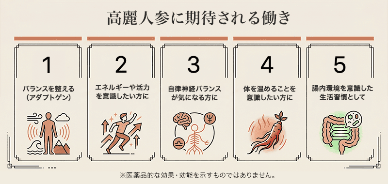 高麗人参に期待される働き(研究が進む領域)