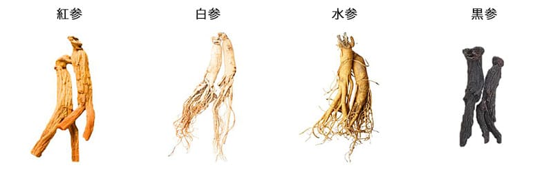 高麗人参の加工方法による違い