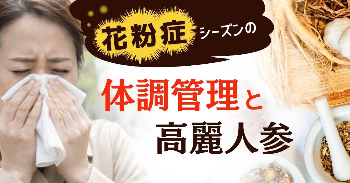花粉症シーズンの体調管理と高麗人参