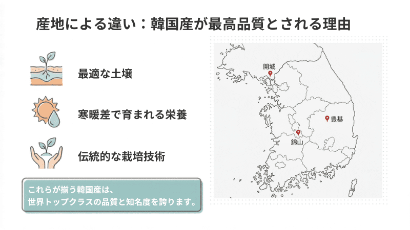 韓国産が最高品質とされる理由｜最適な土壌・四季のはっきりした気候・伝統的な栽培技術