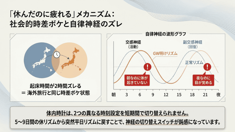「休んだのに疲れる」メカニズム：体内時計と自律神経のズレ