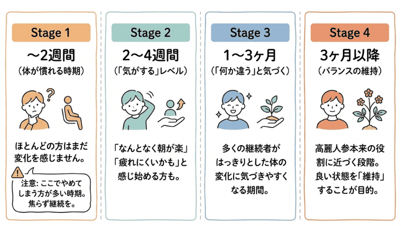 高麗人参はいつから実感できる?段階ごとの目安
